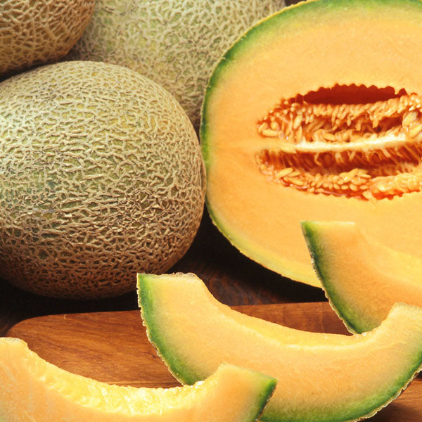 Honeydew Green Melon Seeds